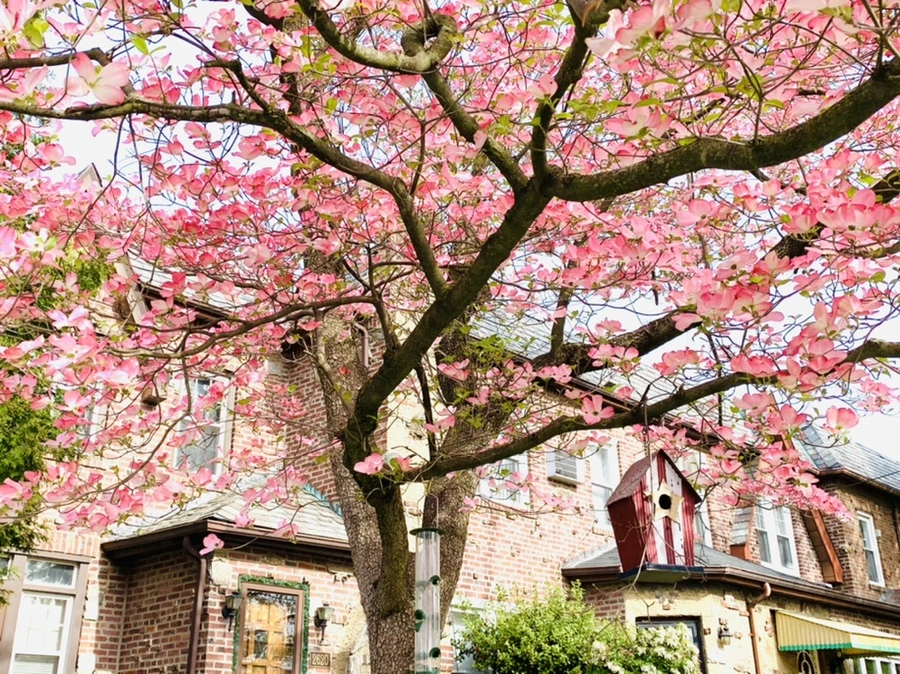 IMG_6807.jpg?type=w966