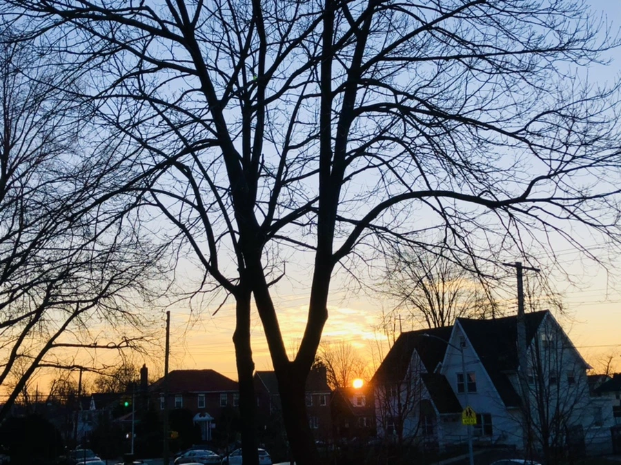 IMG_4626.jpg?type=w966