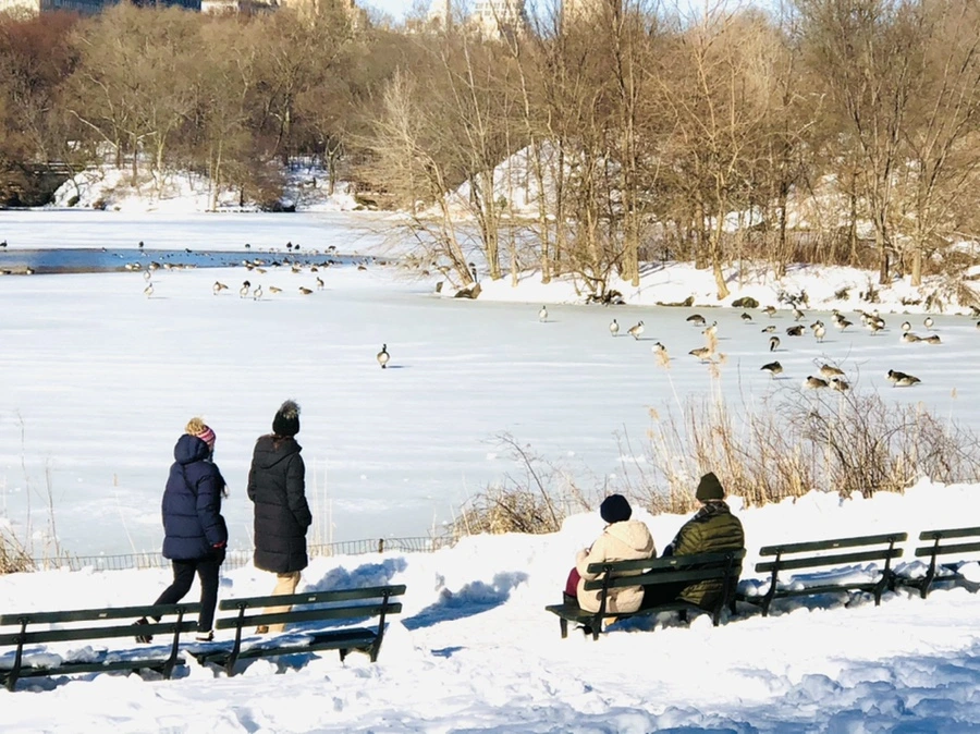 IMG_9815.jpg?type=w966