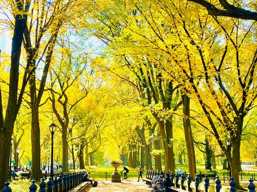 IMG_1598.jpg?type=w966