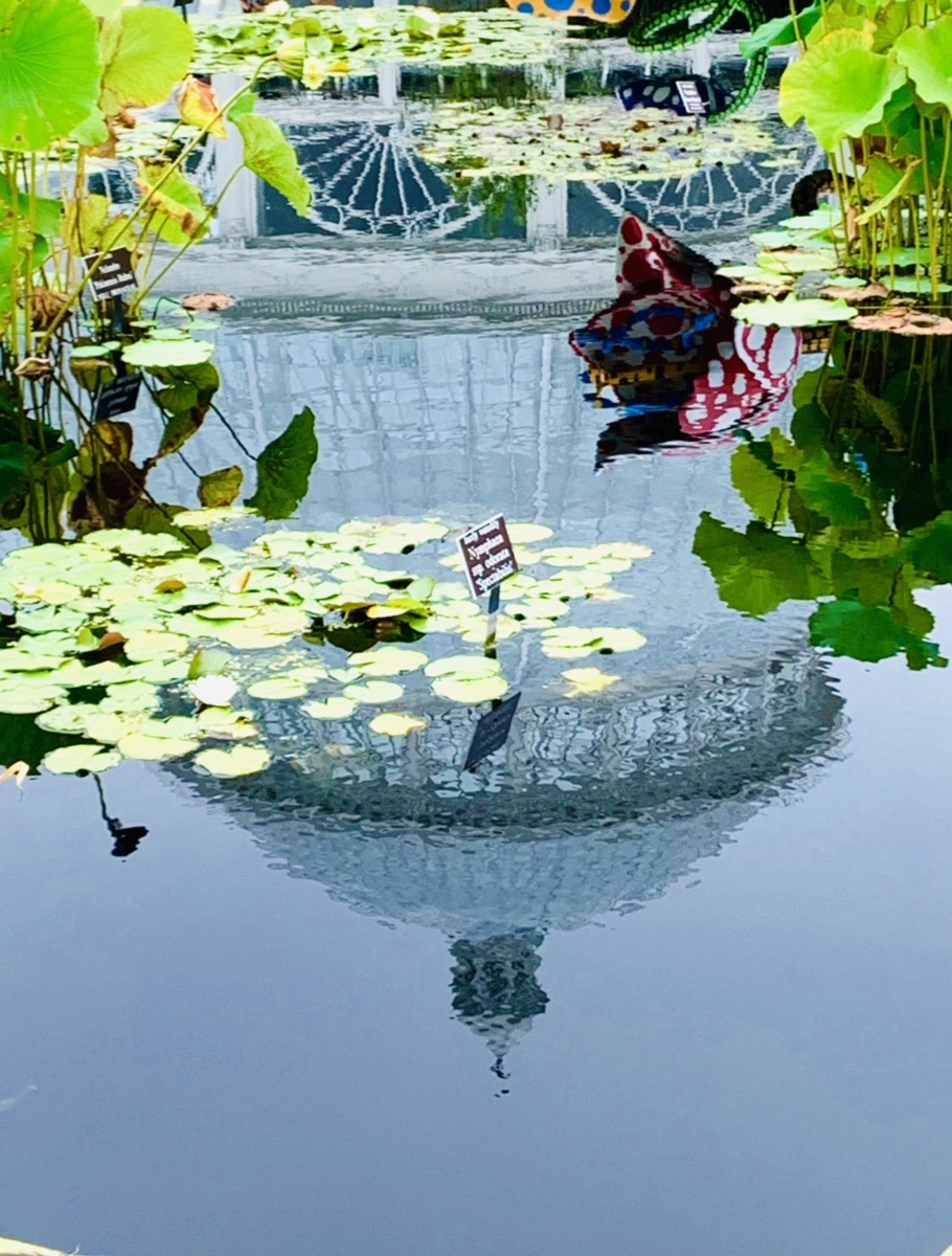 IMG_6438.jpg?type=w966