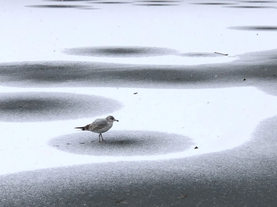 IMG_5970.jpg?type=w966