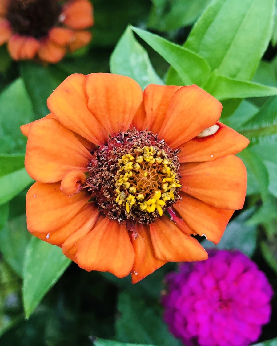 IMG_3630.jpg?type=w966