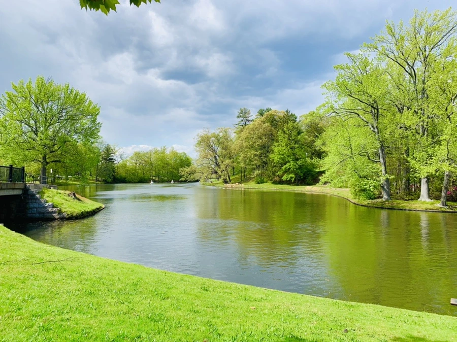 IMG_2492.jpg?type=w966