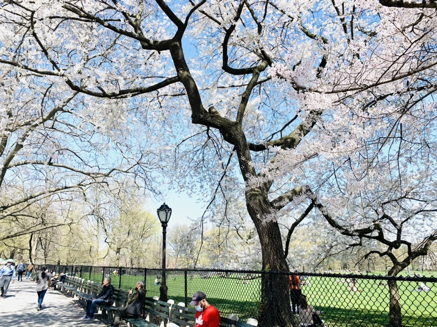 IMG_8927.jpg?type=w966