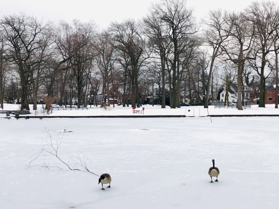 IMG_4423.jpg?type=w966