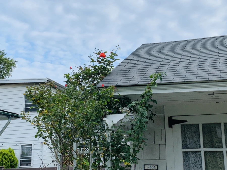 IMG_5434.jpg?type=w966