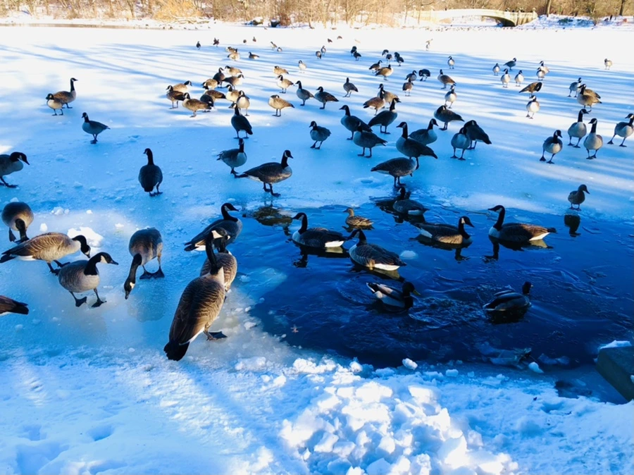 IMG_9908.jpg?type=w966