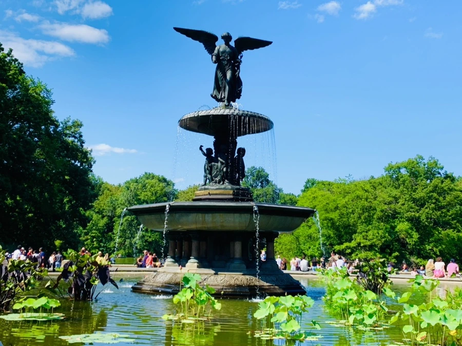 IMG_4496.jpg?type=w966