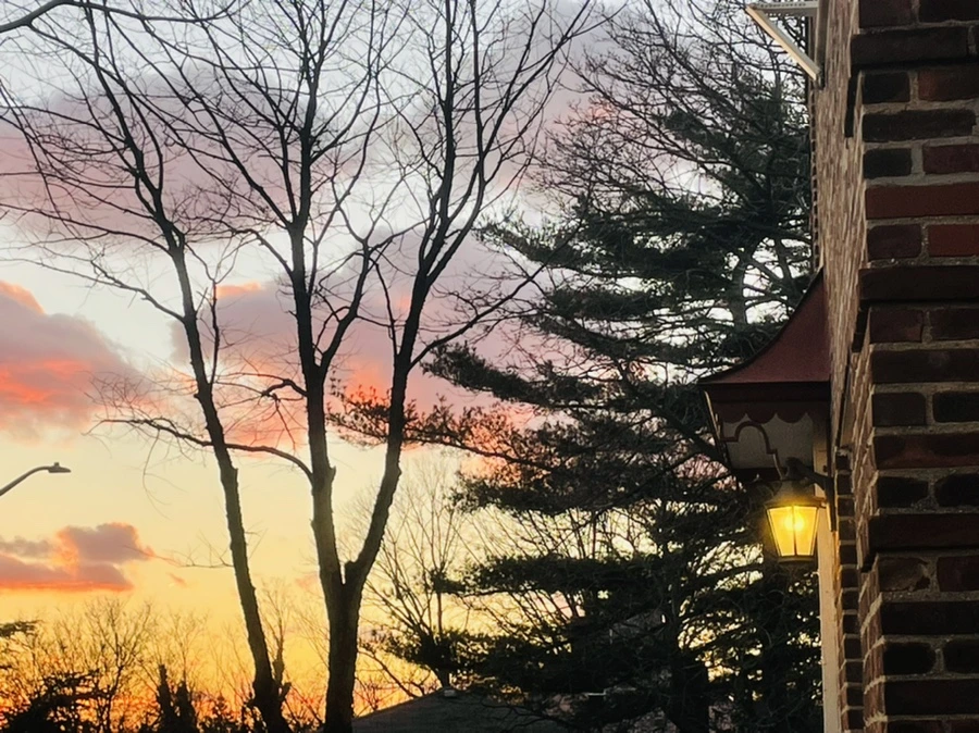 IMG_1408.jpg?type=w966