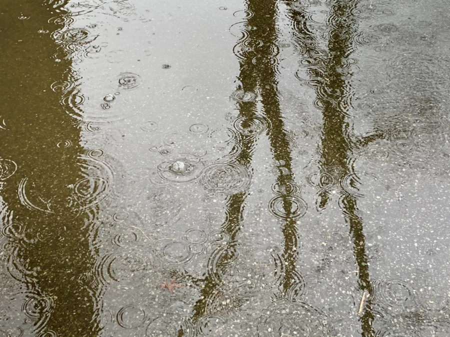 IMG_2027.jpg?type=w966