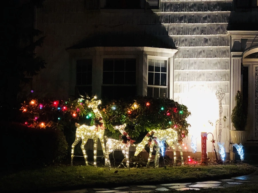 IMG_8800.jpg?type=w966