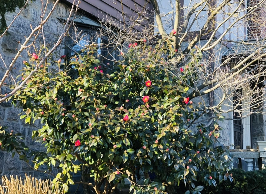 IMG_0319.jpg?type=w966