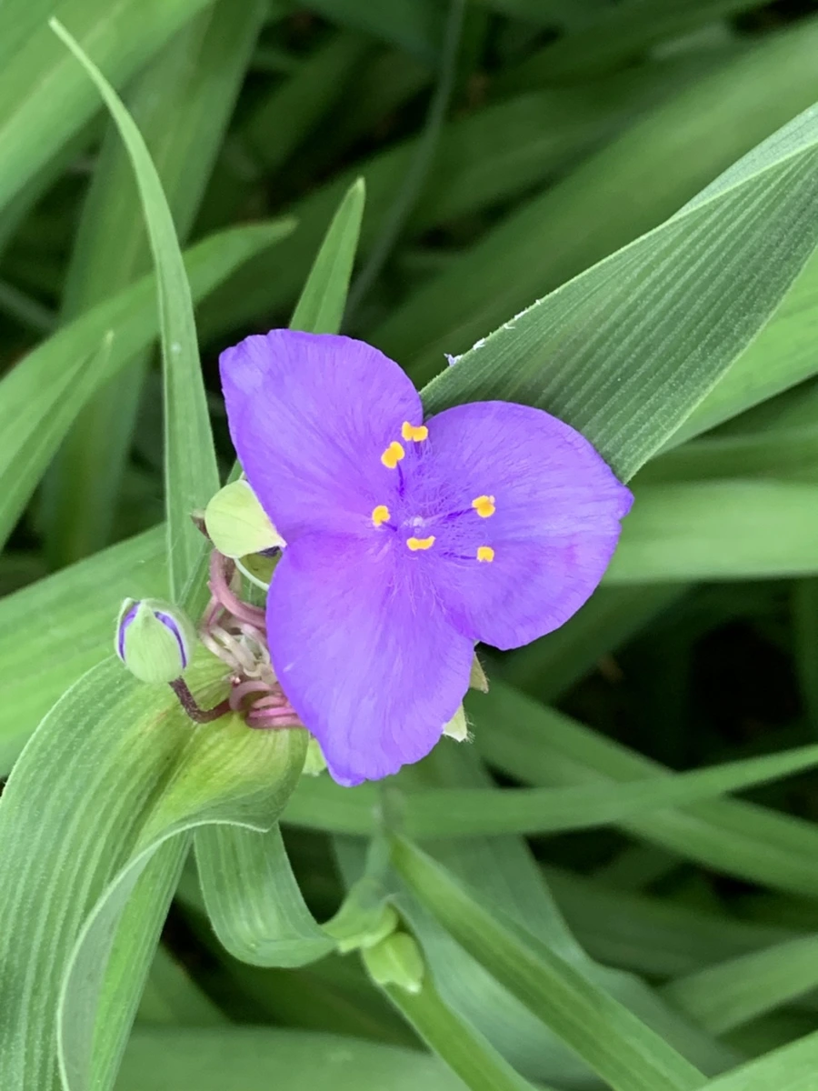 IMG_5394.jpg?type=w966