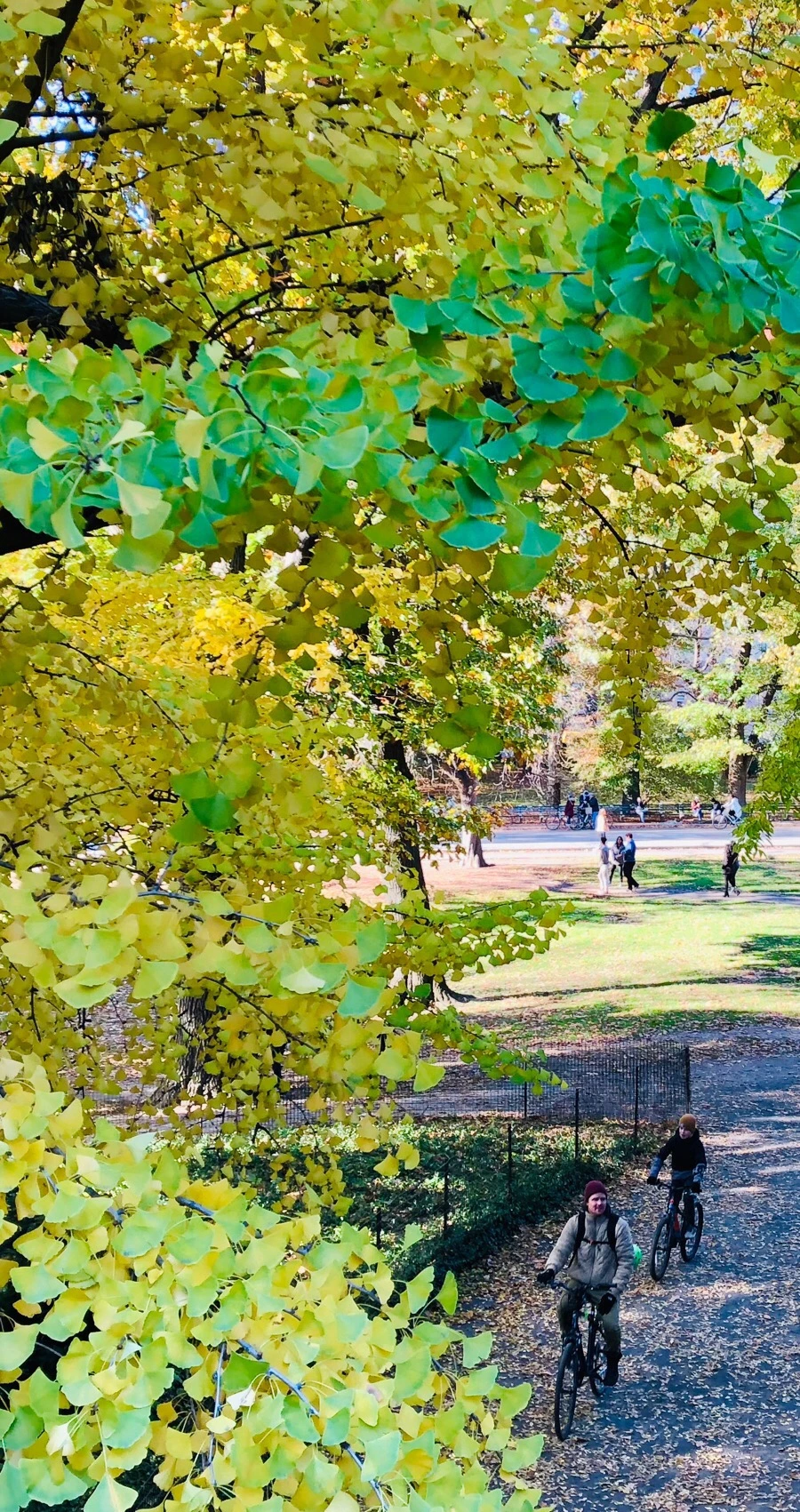 IMG_7649.jpg?type=w966