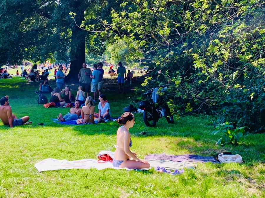 IMG_4411.jpg?type=w966