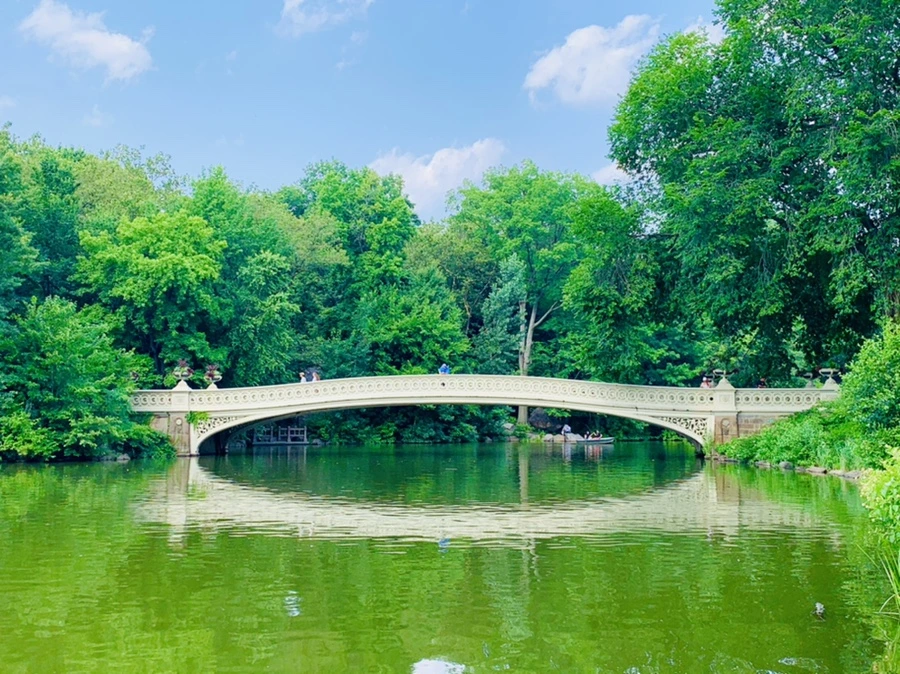 IMG_1716.jpg?type=w966