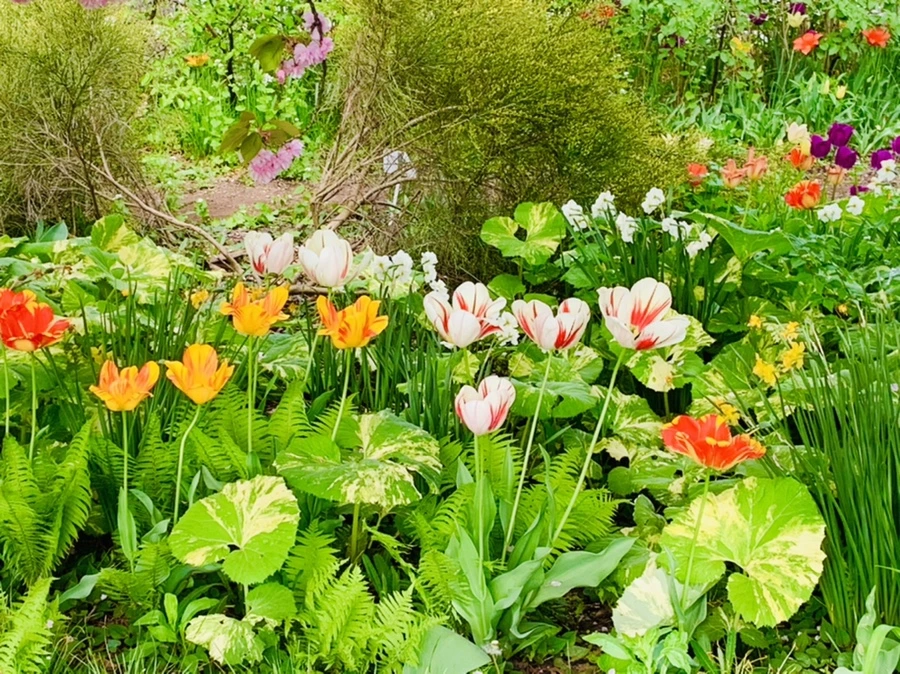 IMG_6934.jpg?type=w966