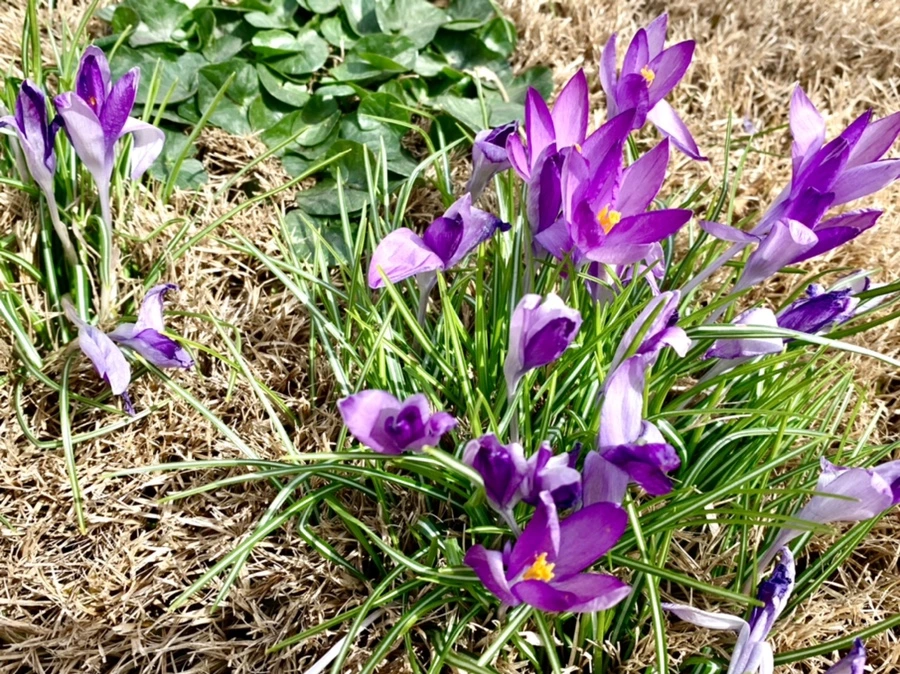 IMG_1077.jpg?type=w966