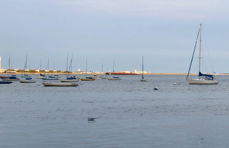 IMG_0641.jpg?type=w966