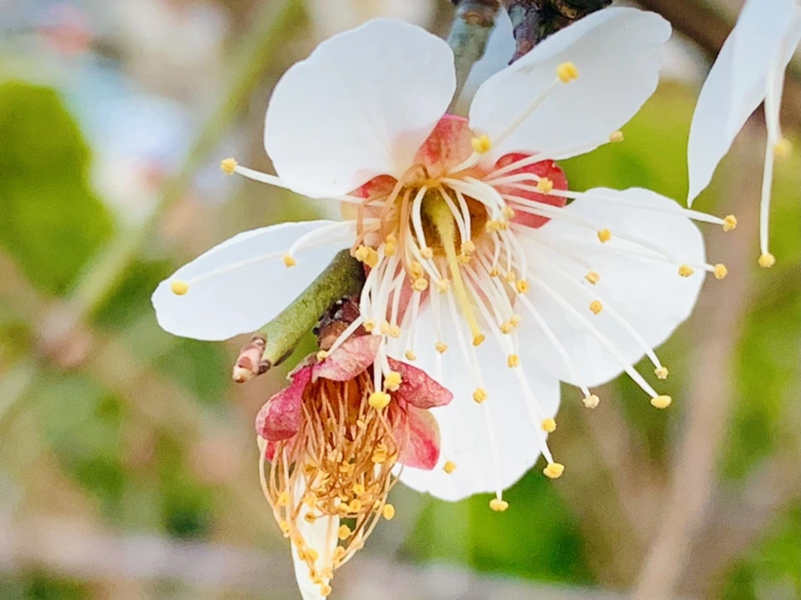 IMG_2363.jpg?type=w966