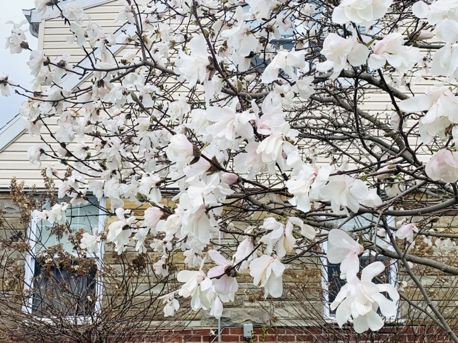 IMG_6122.jpg?type=w966