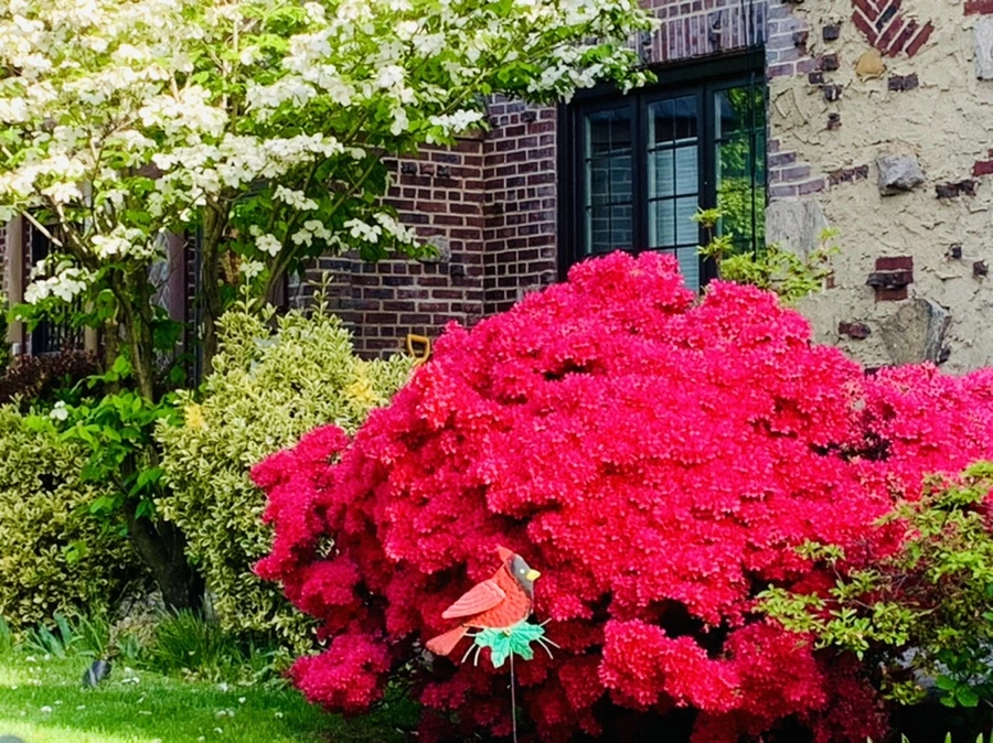 IMG_1098.jpg?type=w966