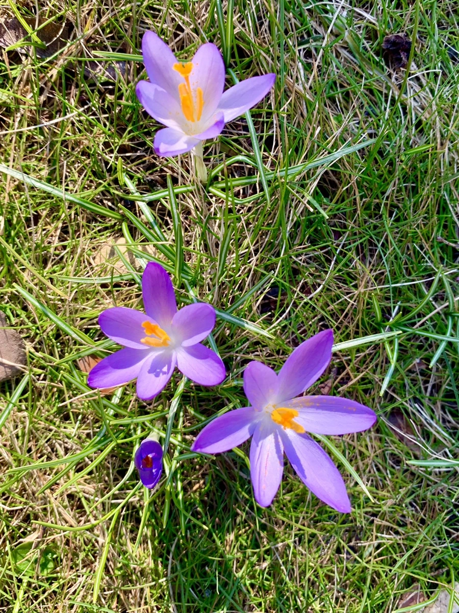 IMG_7051.jpg?type=w966