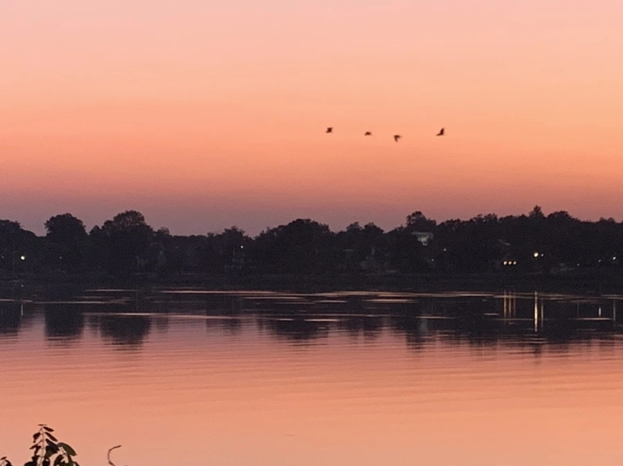 IMG_4319.jpg?type=w966