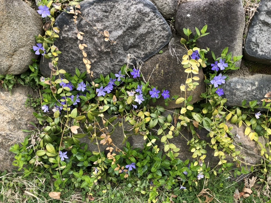 IMG_2758.jpg?type=w966