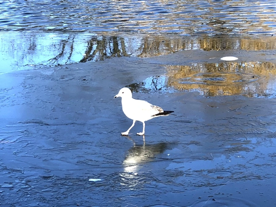 IMG_0552.jpg?type=w966