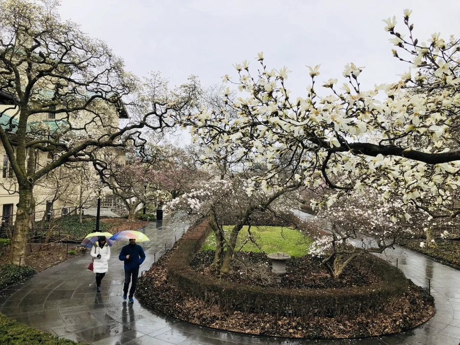 IMG_2321.jpg?type=w966