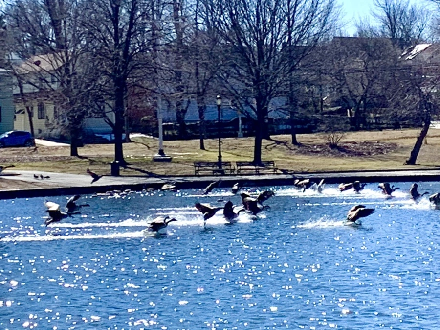 IMG_7587.jpg?type=w966