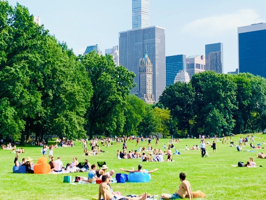 IMG_0606.jpg?type=w966