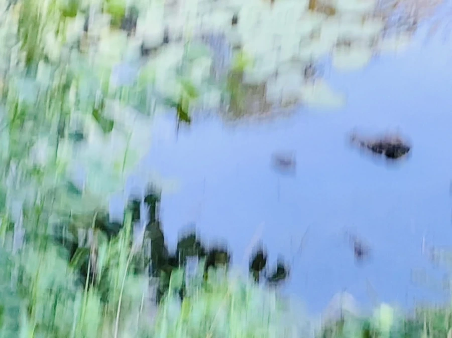 IMG_5543.jpg?type=w966