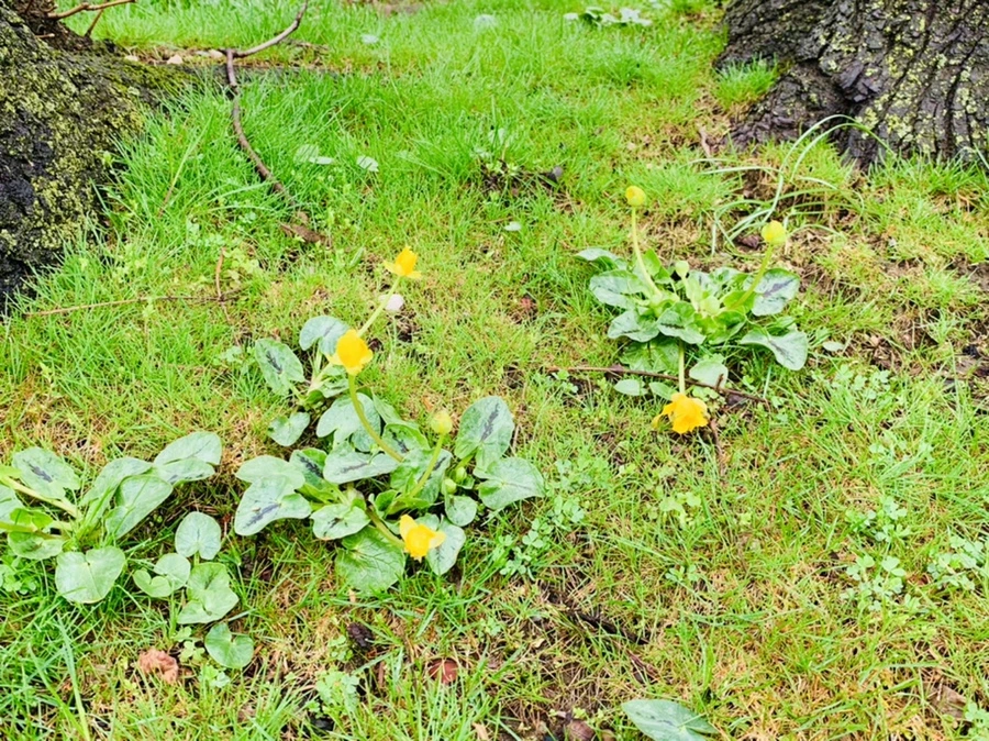 IMG_5326.jpg?type=w966