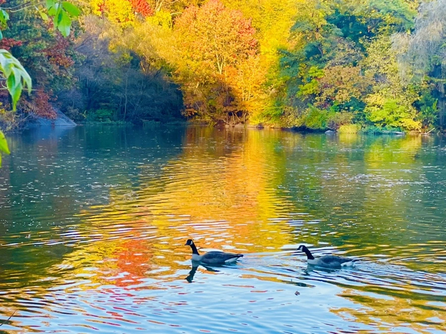 IMG_1454.jpg?type=w966