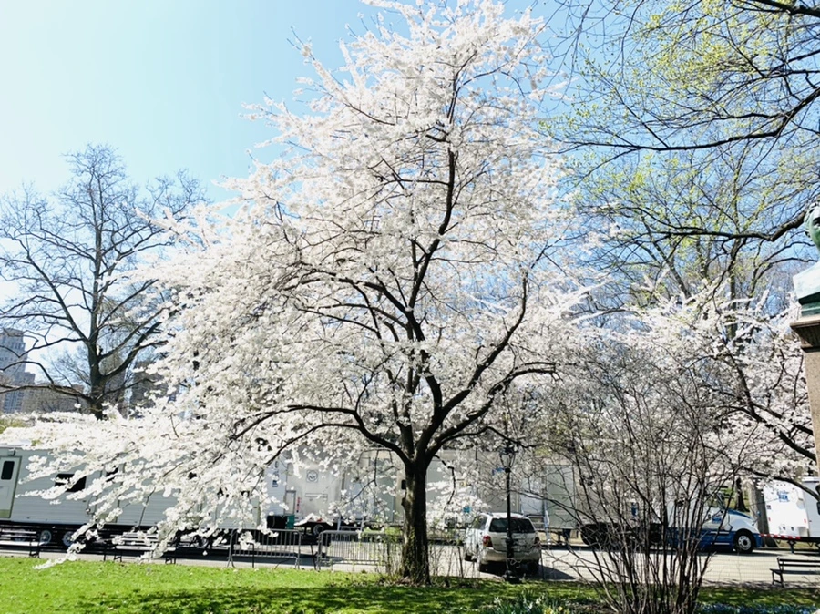 IMG_8943.jpg?type=w966