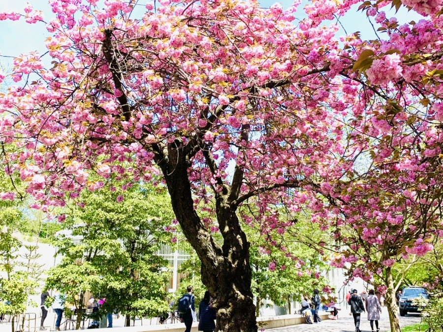 IMG_6487.jpg?type=w966