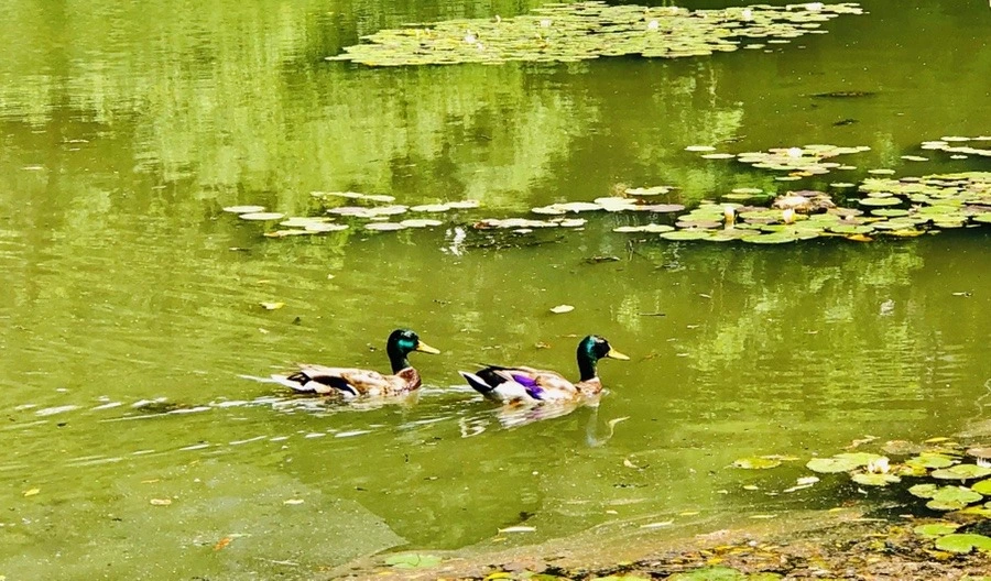 QuTUoH7fnBwB3haE-UBzDsqGdSM