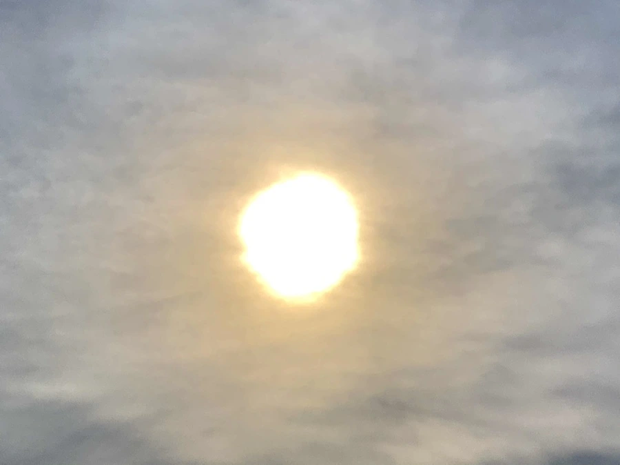 IMG_0291.jpg?type=w966