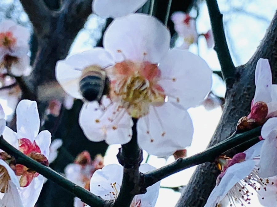 IMG_4183.jpg?type=w966