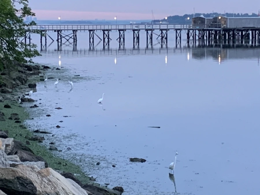 IMG_6263.jpg?type=w966