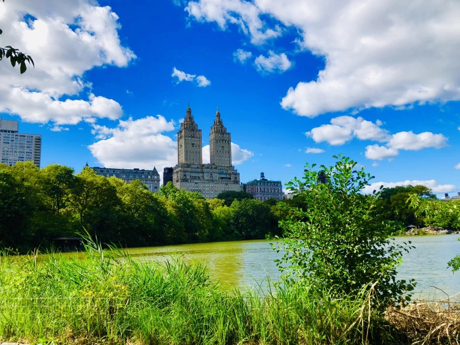 IMG_8880.jpg?type=w966