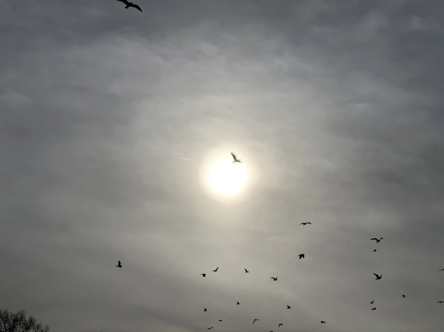 IMG_2001.jpg?type=w966