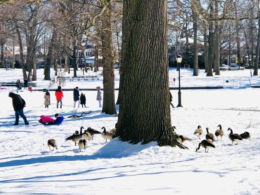 IoZqV8gy2CCeyV54kiK17clivRQ