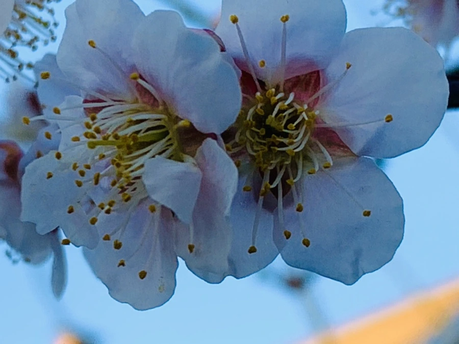 IMG_0940.jpg?type=w966