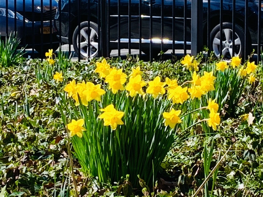 IMG_5817.jpg?type=w966