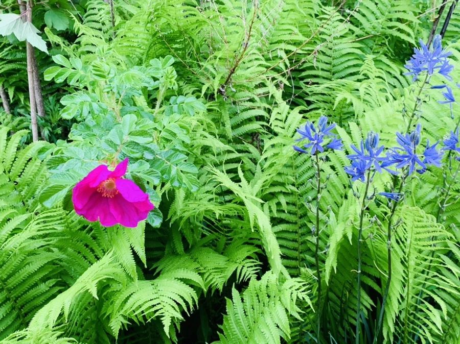 IMG_9811.jpg?type=w966