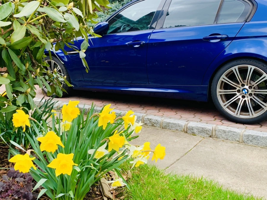 IMG_6611.jpg?type=w966